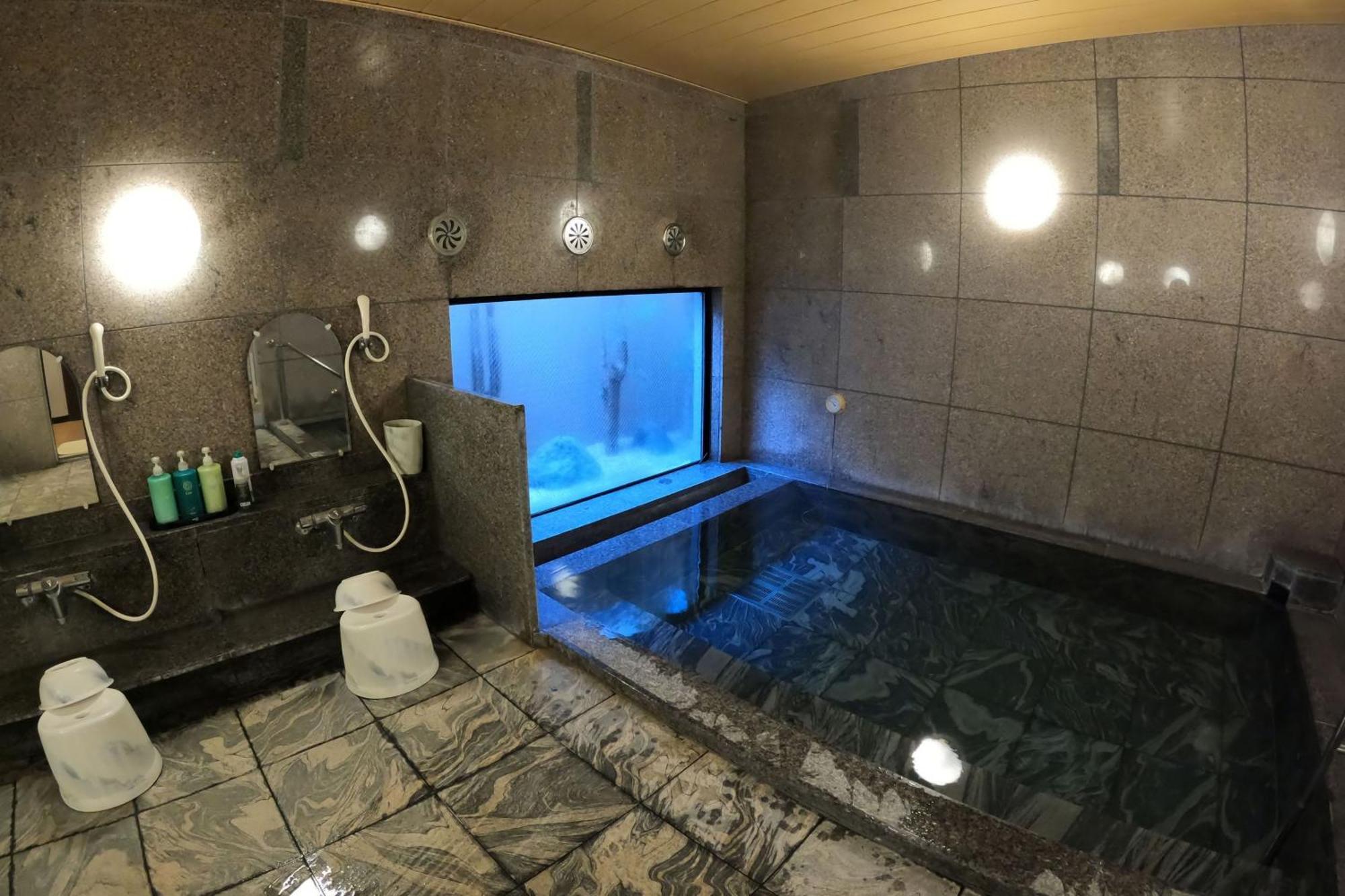 Hotel Route-Inn Gotenba Eki-Minami מראה חיצוני תמונה